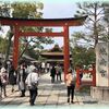 京の早春の散歩　城南宮の梅と椿2022