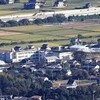 小学校の花壇からシカの頭部｜専門家が分析する3つの可能性と地域の安全対策