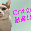 Catlogがかなり良い、心配性の猫飼いにオススメしたい #catlog