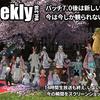 LLPeekly Vol.318(Free Company Weekly Report)