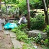除草に軒天工事にハチの駆除に鳥とくな最近～