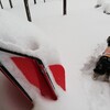 雪をこいで犬の散歩