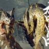 【MHRize】クソモンスター筆頭はオロミドロでよろしいでありんす？