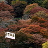 奈良県の絶景スポット。紅葉の吉野山、見頃の奥千本へ。