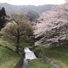 霞間ヶ谷（岐阜県揖斐郡）でお花見🌸