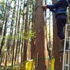 キノコ園がキノコ園っぽくなりました🍄