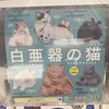 【白亜器の猫 フィギュアマスコット いきもん 全6種 500円】生活圏外で出会うガチャガチャは、やっぱりレアなのか？