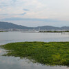 盛夏湖南の風景その１