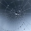 PostgreSQL for Visual Studio Code (Preview)で踏み台サーバー経由の接続を試してみる
