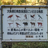 ◆'24/10/31　大鳥池⑧