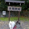 チャココと京都#1(御所～北野天満宮～貴船神社）
