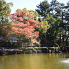 FUJIFILM X-T30Ⅱ + XF 35mm F1.4で公園散歩