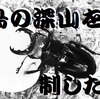 御蔵島ミクラミヤマ１年１化残りの２頭割出