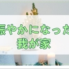 保護猫を家族に迎えるまでのお話【トライアル〜正式譲渡まで】