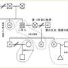 夫婦別姓問題と妻の実家の介護ジェノグラム