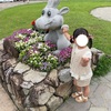 【行く前に見ておいて】山々が見渡せる絶景と季節のお花が楽しめる！”国営讃岐まんのう公園”（香川県/仲多度郡）の見どころをご紹介