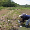 5月27日活動報告 畦塗