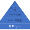 確実に痩せるための重要な４つのポイント