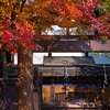 下鴨神社