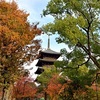 東寺(教王護国寺)の紅葉2025：見頃や色づき状況、混雑回避のコツ！（ライトアップあり）