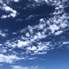 もうすぐ我慢の季節が来ます