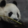 神戸市立王子動物園