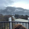 春旅行 娘：長く泊まりたい＋妻：美術館＋私：温泉という要望への答え