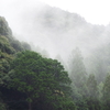 外は久しぶりの雨。お寺の役割を改めて考える