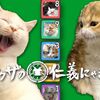 「猫ヤクザの仁義にゃき戦い」リリース！【新作】【Steam】【iOS】【Android】【Photon】【Playfab】