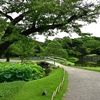 ✿夏の小石川後楽園