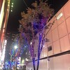 新宿西口しょぼイルミネーション