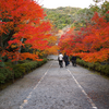 18th京都紅葉の旅2025⑤　～二尊院でも楽しめる高低差ｗ～
