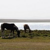 ウズベキスタン・キルギス⑦【ソンコル湖-コチュコル-ボコンバエバ（イシククル湖）】