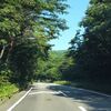 深緑のマイカー通勤ルート