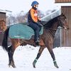 【近況】【競走馬名決定】カルトゥーシュ