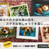 あなたの思い出写真を美しい刺しゅう作品に【PhotoStitch.LOVE】.かっちんのホームページとブログに訪問して下さい.宜しくお願い致します...