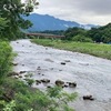 7月2日(日)荒川柳大橋の河川情報