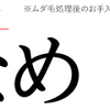  パイナップル豆乳ローション お試しはこちらから！今なら初回1本分割引、送料ずっと無料！パイナップルローション 効果 ひげにも効果あり！ 