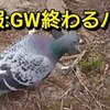 趣味が収入になる時代