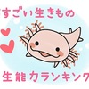 【最新版】生きもの再生能力ランキング！星５つの無敵生物って何？