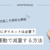 ハムスターの肥満とダイエット｜減量向きのフードや運動についても解説
