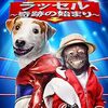 映画『ラッセル 奇跡の始まり』：愛らしい犬が家族の絆と夢を救う感動の物語