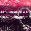 小坂田公園納涼花火大会2023の駐車場と穴場情報は？【地元民からのマル秘情報アリ：長野県塩尻市】