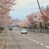 ［列車旅］★清川の千本ざくら
