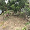 涼しくなってきましたね