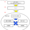 精神障害の構造