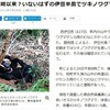 伊豆半島でクマ出没！西伊豆町のツキノワグマは何処から来たのか？目撃情報は正しかった！