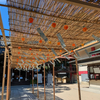 三津厳島神社の「夏詣」に行きました（＆猫）