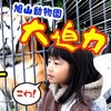 11月2日の動画