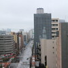 2020年春のなごり雪＠人形町浜町あたり